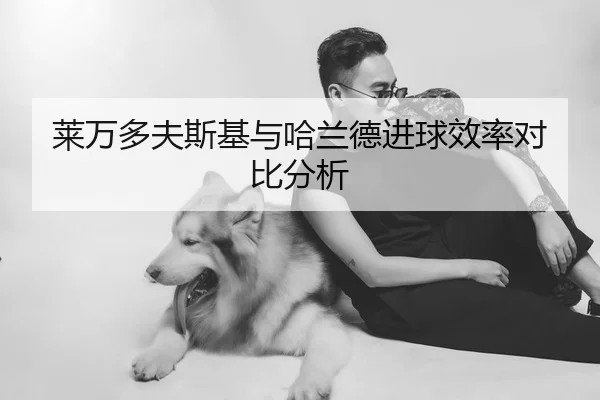 莱万多夫斯基与哈兰德进球效率对比分析